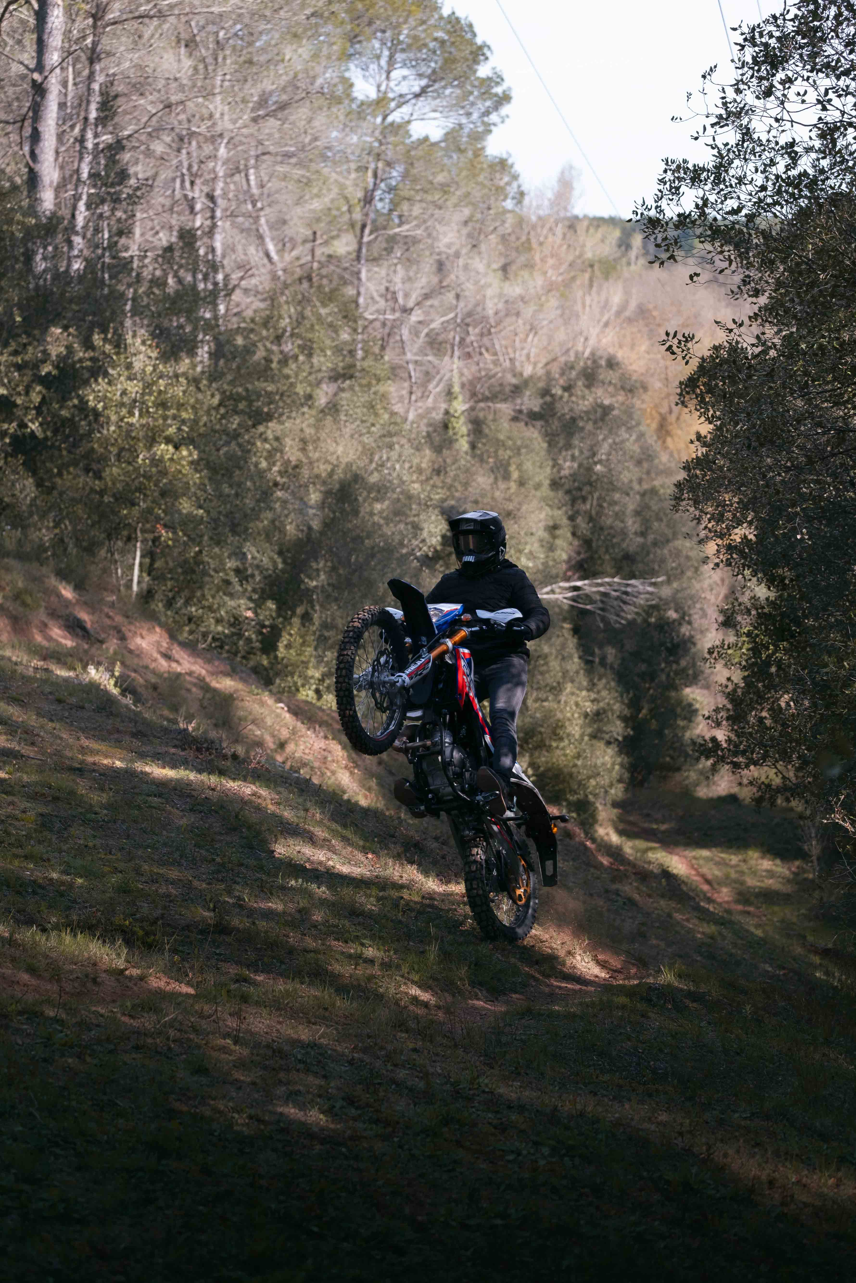 Imagen del producto 10