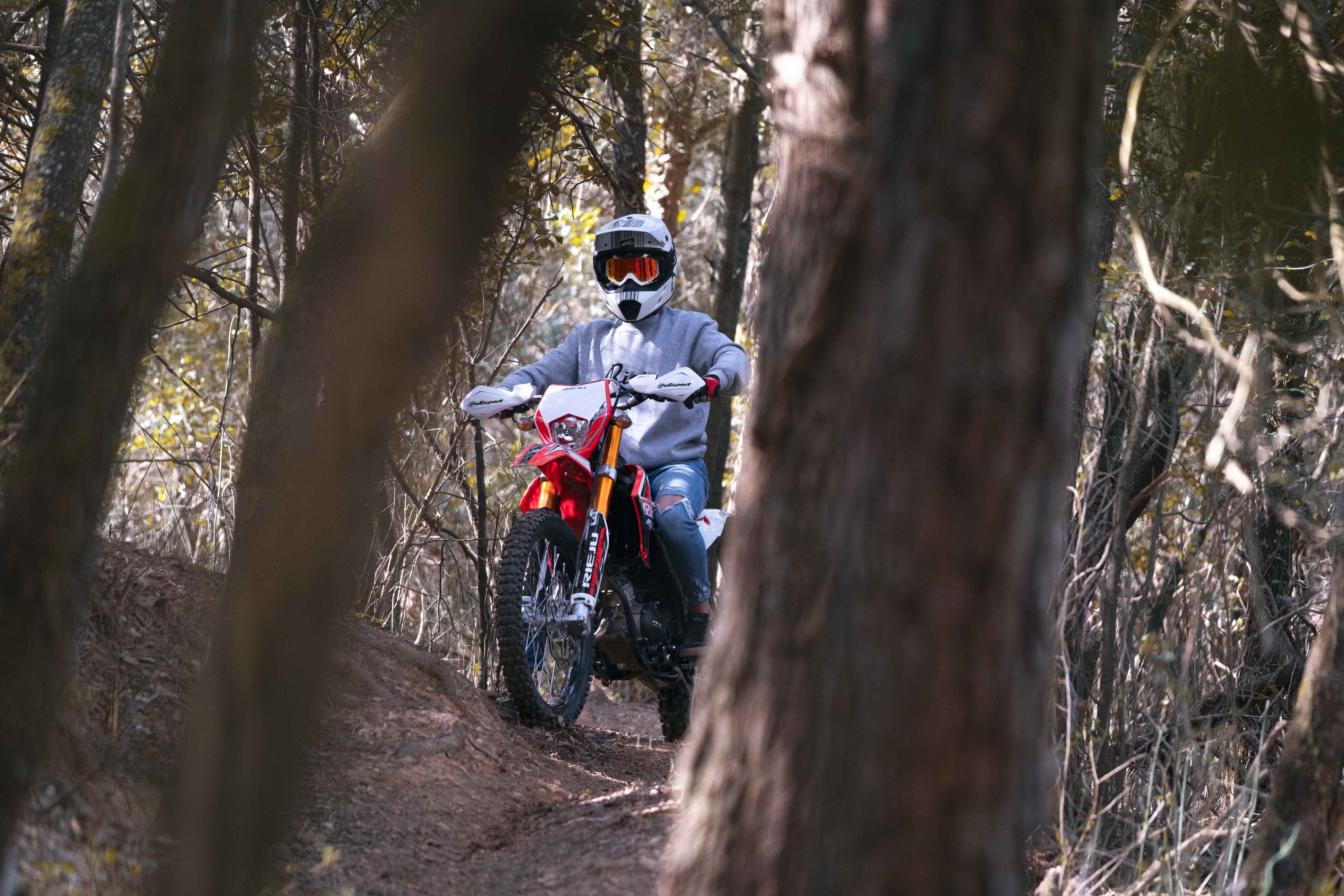 Imagen del producto 12