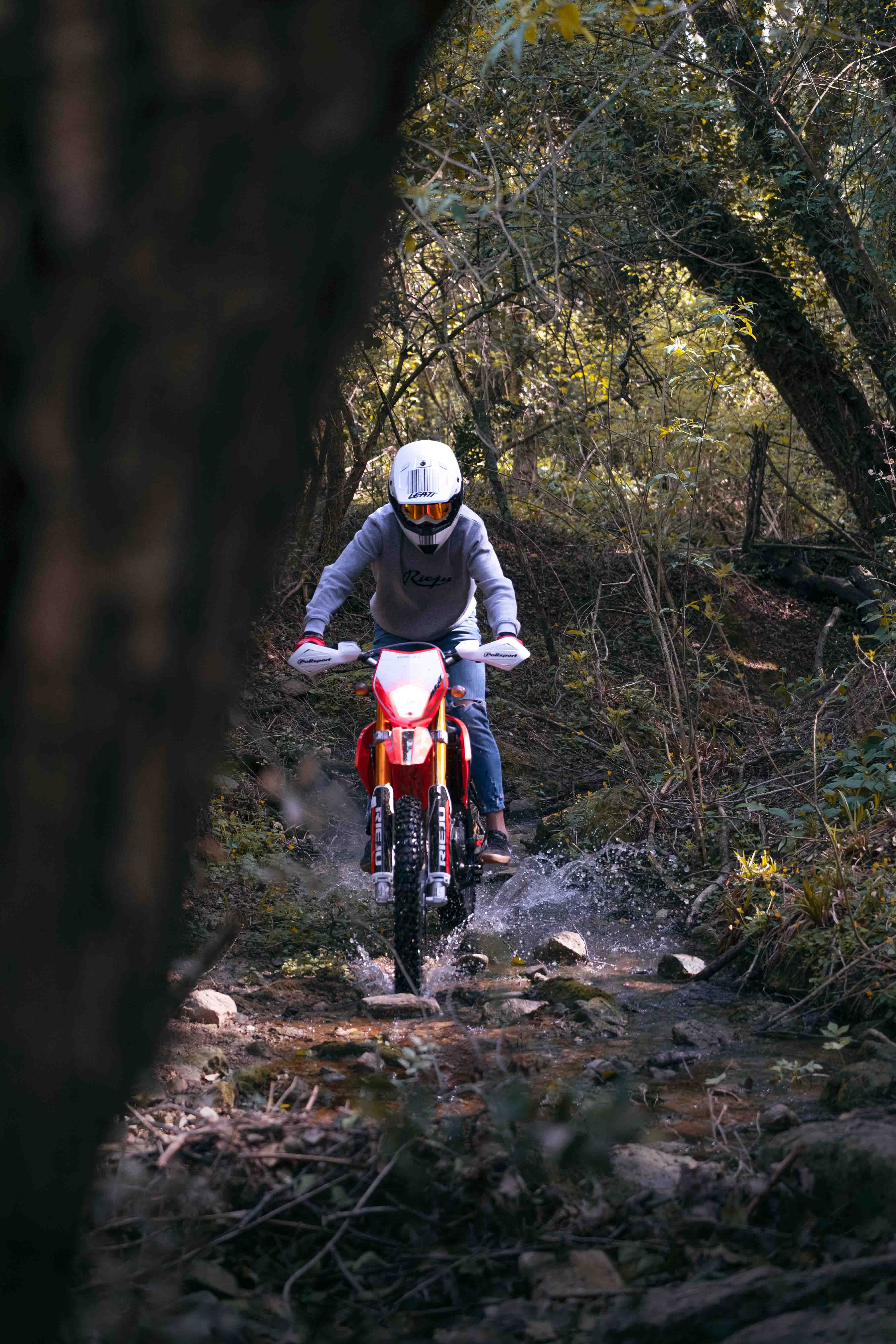 Imagen del producto 13