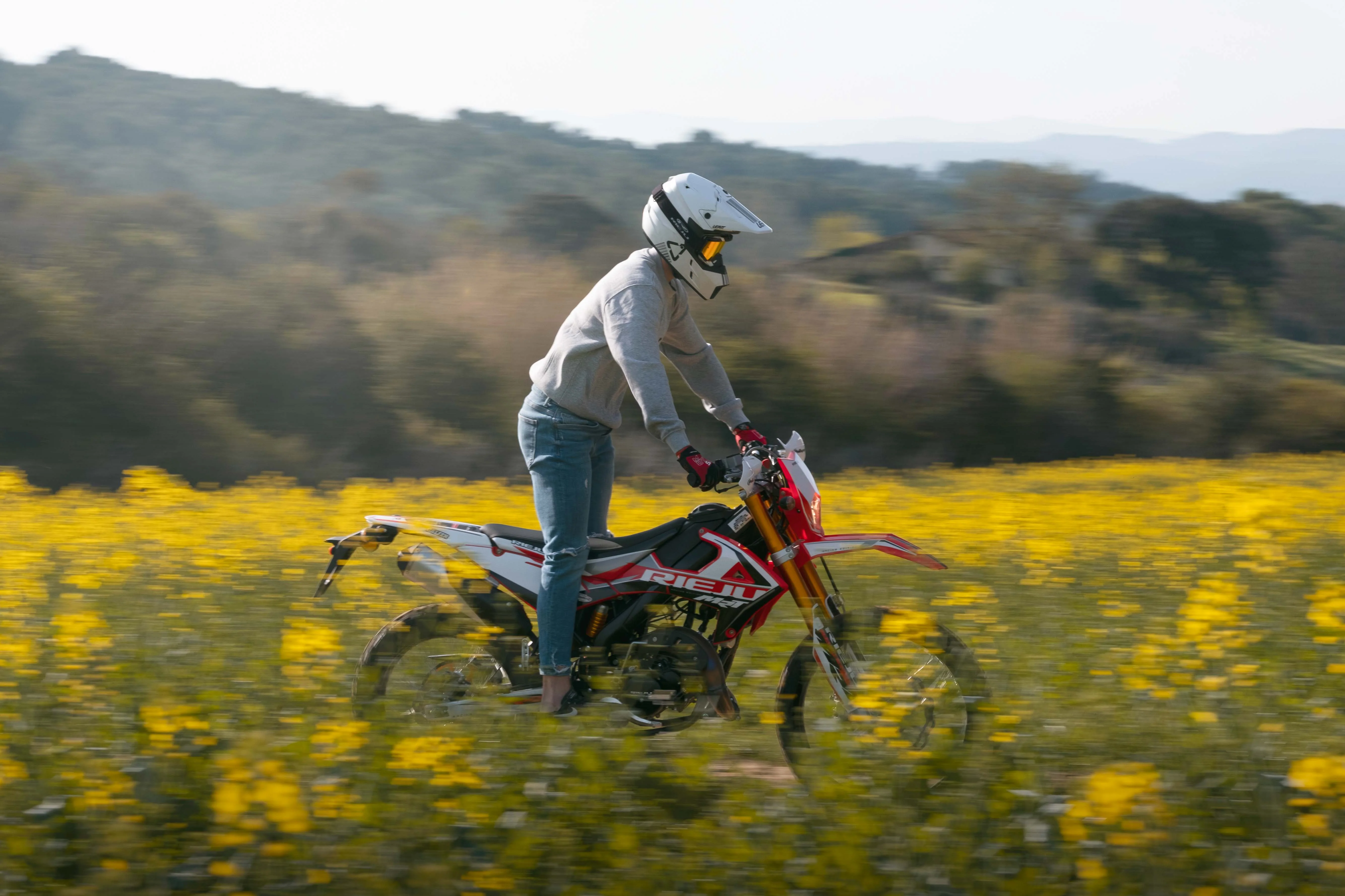 Imagen del producto 7