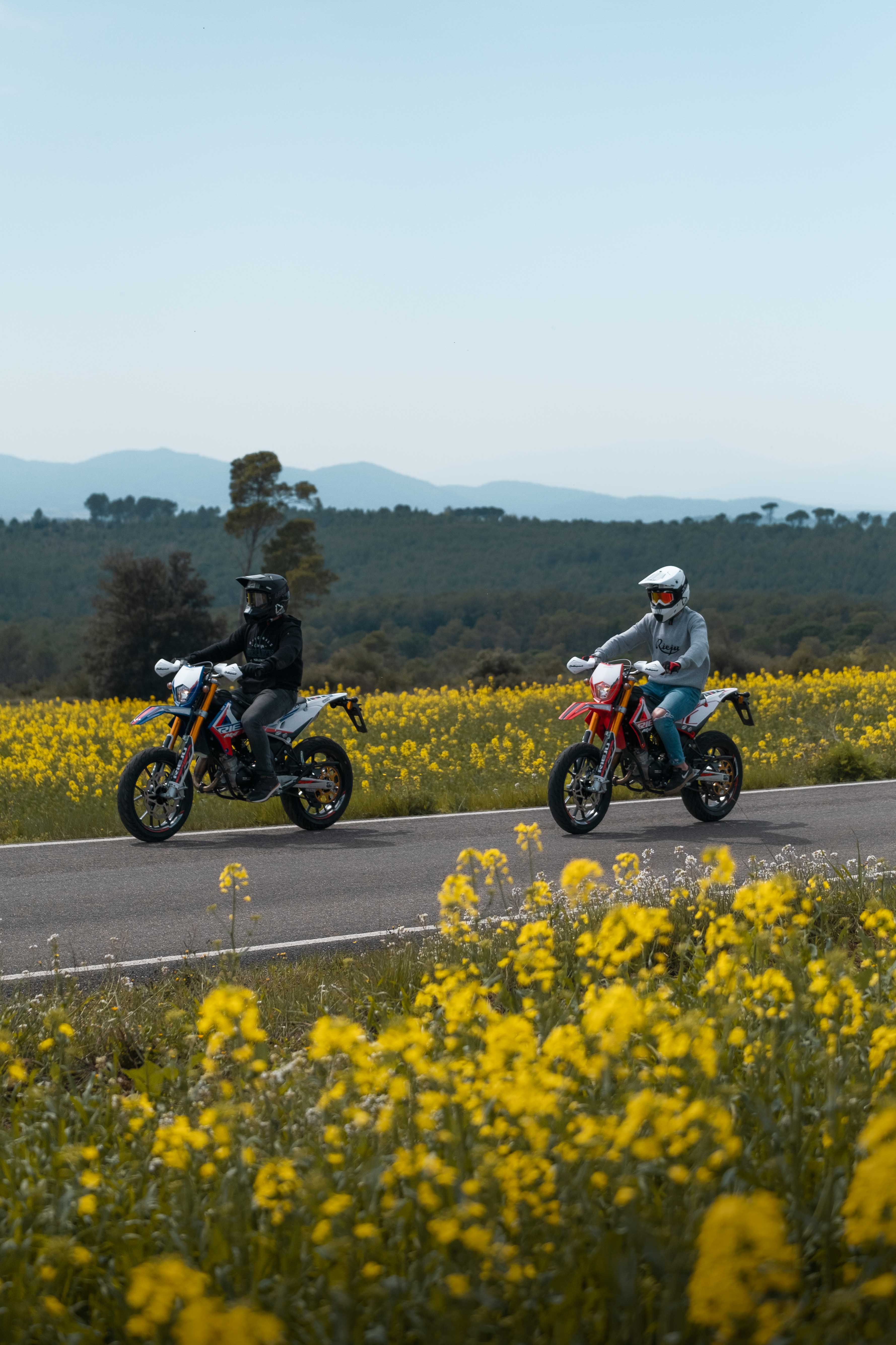 Imagen del producto 14