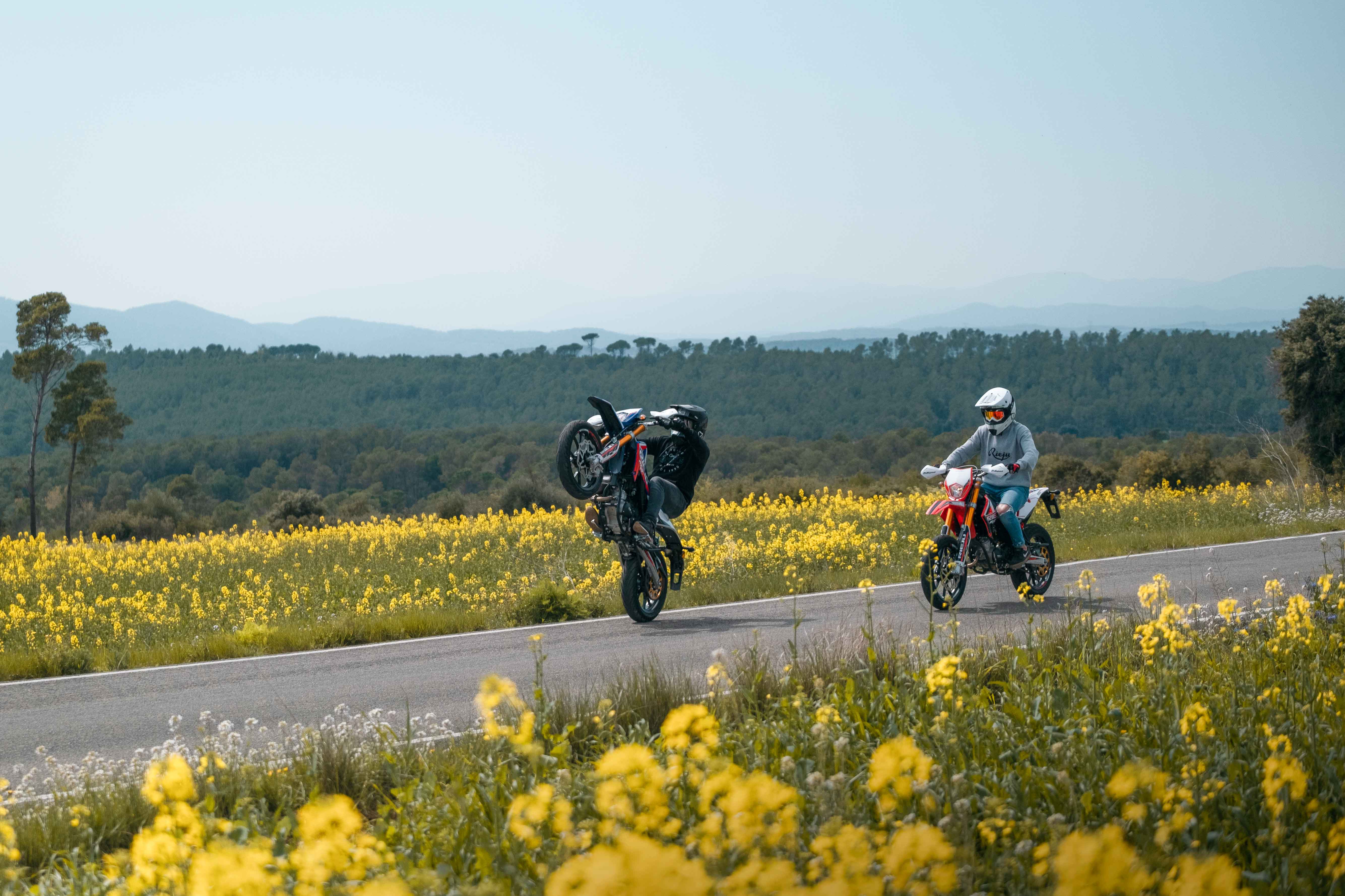 Imagen del producto 15