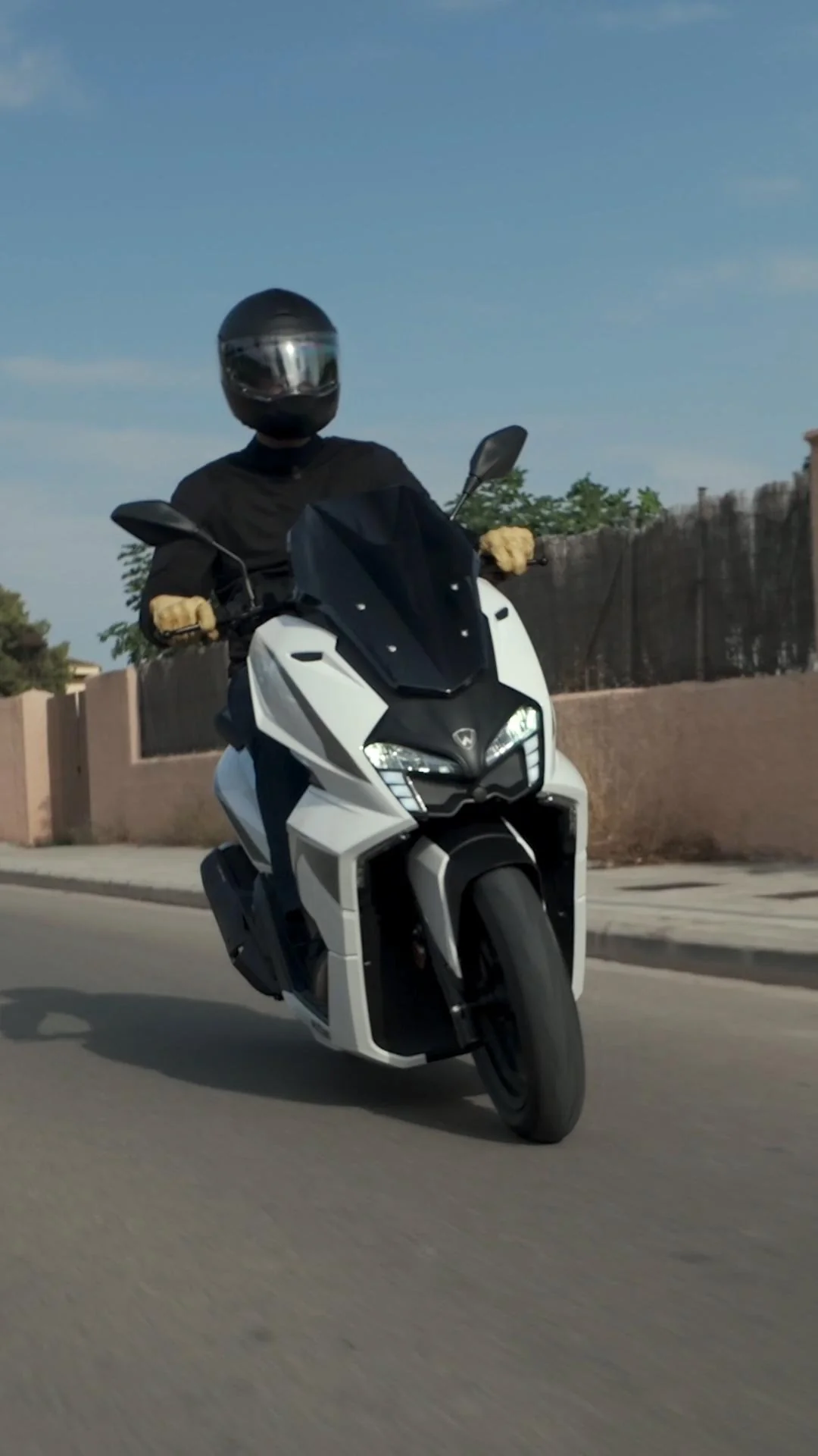 Imagen del producto 12