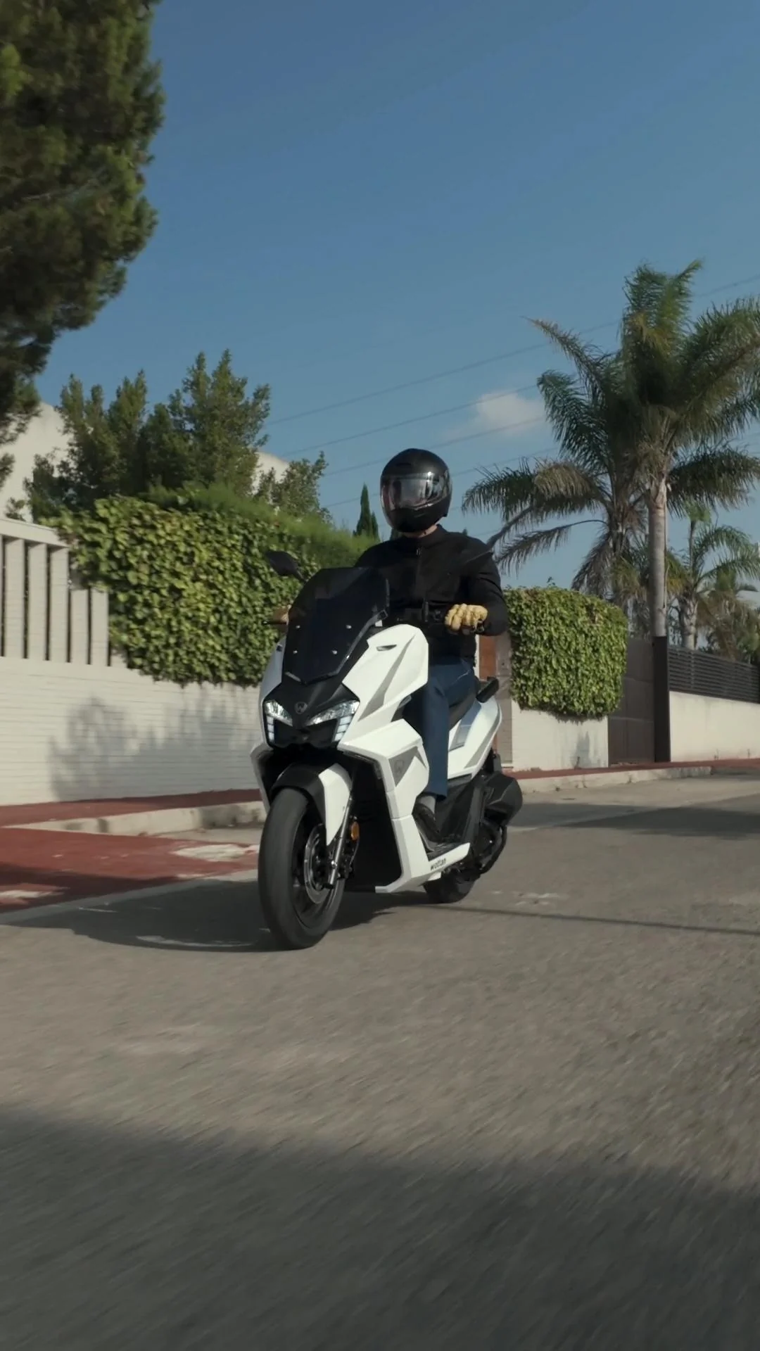 Imagen del producto 16